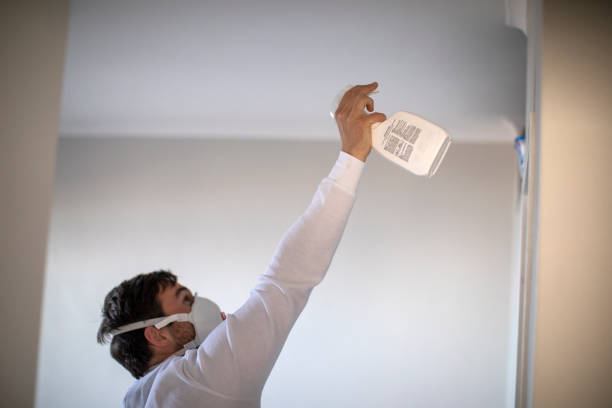 Best Fast Mold Removal  in Newcastle, WA