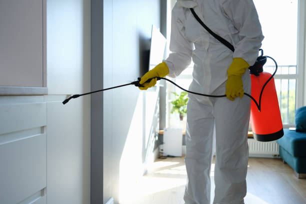 Certified Mold Removal in Newcastle, WA